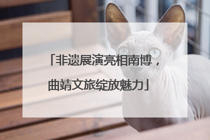 非遗展演亮相南博，曲靖文旅绽放魅力