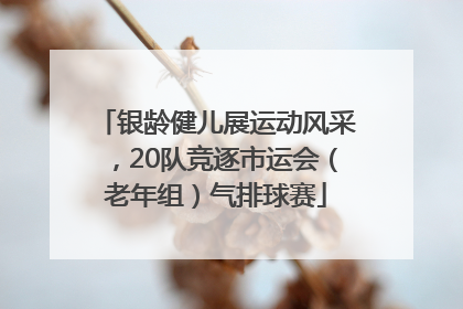 银龄健儿展运动风采，20队竞逐市运会（老年组）气排球赛