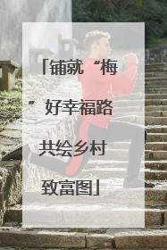 铺就“梅”好幸福路 共绘乡村致富图