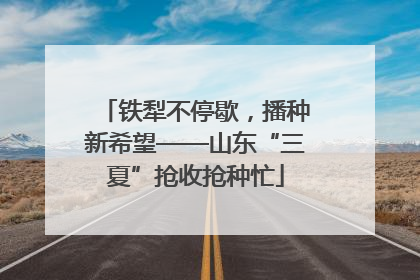 铁犁不停歇，播种新希望——山东“三夏”抢收抢种忙