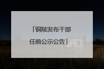铜陵发布干部任前公示公告