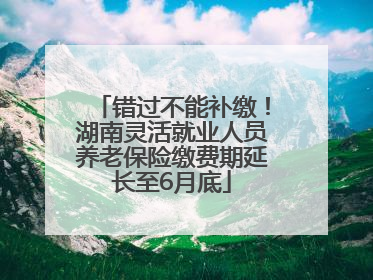 错过不能补缴！湖南灵活就业人员养老保险缴费期延长至6月底