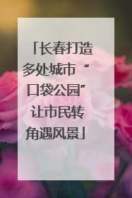 长春打造多处城市“口袋公园” 让市民转角遇风景