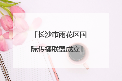 长沙市雨花区国际传播联盟成立