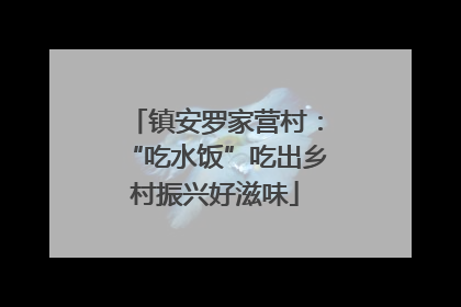 镇安罗家营村：“吃水饭”吃出乡村振兴好滋味