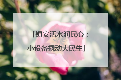 镇安活水润民心：小设备撬动大民生