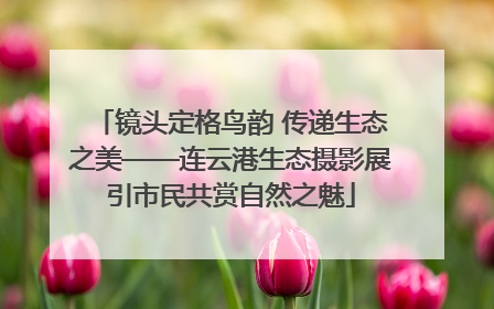 镜头定格鸟韵 传递生态之美——连云港生态摄影展引市民共赏自然之魅