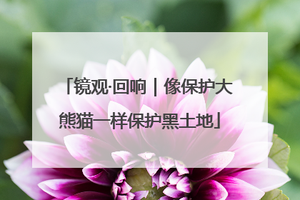 镜观·回响｜像保护大熊猫一样保护黑土地