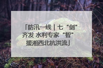 防汛一线｜七“剑”齐发 水利专家“智”援湘西北抗洪流