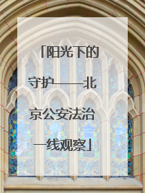 阳光下的守护——北京公安法治一线观察