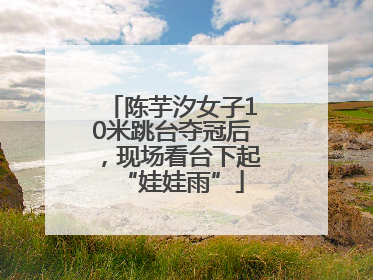 陈芋汐女子10米跳台夺冠后，现场看台下起“娃娃雨”