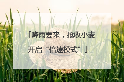 降雨要来，抢收小麦开启“倍速模式”