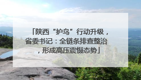 陕西“护鸟”行动升级，省委书记：全链条排查整治，形成高压震慑态势