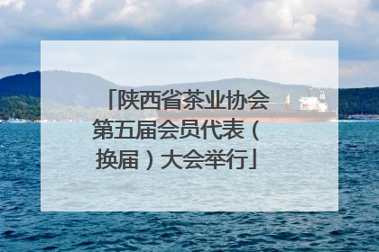 陕西省茶业协会第五届会员代表（换届）大会举行