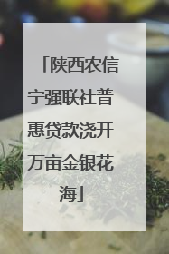 陕西农信宁强联社普惠贷款浇开万亩金银花海