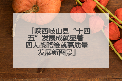 陕西岐山县“十四五”发展成就显著 四大战略绘就高质量发展新图景