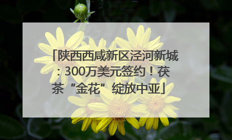 陕西西咸新区泾河新城：300万美元签约！茯茶“金花”绽放中亚