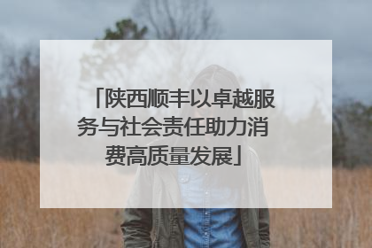 陕西顺丰以卓越服务与社会责任助力消费高质量发展