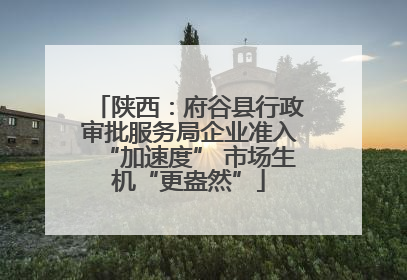 陕西：府谷县行政审批服务局企业准入“加速度” 市场生机“更盎然”