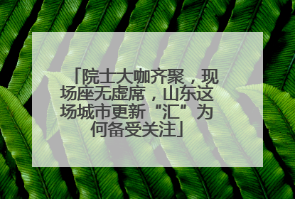 院士大咖齐聚，现场座无虚席，山东这场城市更新“汇”为何备受关注