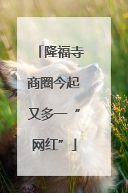 隆福寺商圈今起又多一“网红”