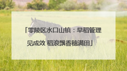 零陵区水口山镇：早稻管理见成效 稻浪飘香穗满田