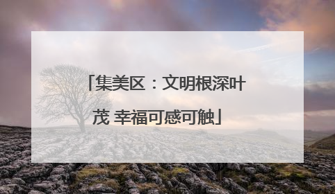 集美区：文明根深叶茂 幸福可感可触