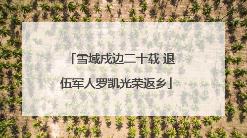 雪域戍边二十载 退伍军人罗凯光荣返乡