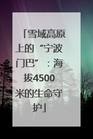 雪域高原上的“宁波门巴”：海拔4500米的生命守护