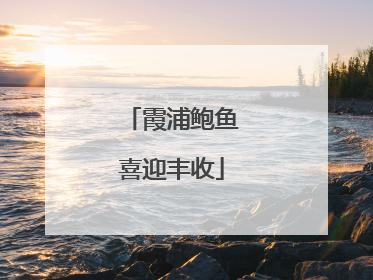 霞浦鲍鱼喜迎丰收