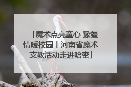 魔术点亮童心 豫疆情暖校园丨河南省魔术支教活动走进哈密
