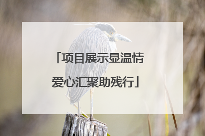 项目展示显温情 爱心汇聚助残行