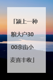颍上一种粮大户3000余亩小麦喜丰收