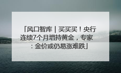 风口智库｜买买买！央行连续7个月增持黄金，专家：金价或仍易涨难跌
