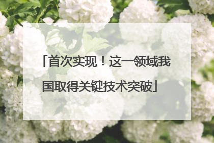 首次实现！这一领域我国取得关键技术突破