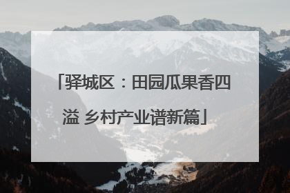 驿城区：田园瓜果香四溢 乡村产业谱新篇
