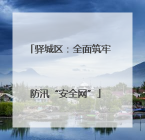 驿城区：全面筑牢防汛“安全网”