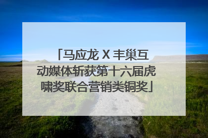 马应龙 X 丰巢互动媒体斩获第十六届虎啸奖联合营销类铜奖