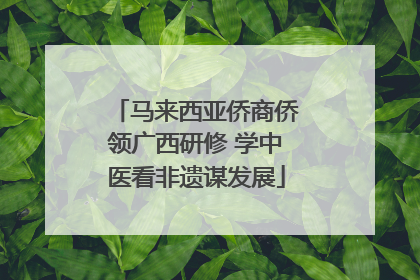 马来西亚侨商侨领广西研修 学中医看非遗谋发展