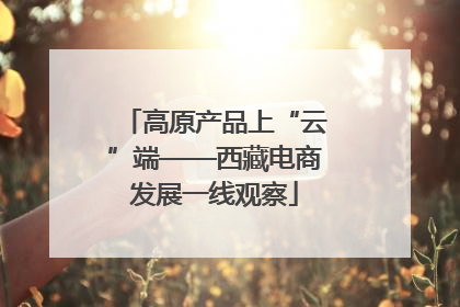 高原产品上“云”端——西藏电商发展一线观察