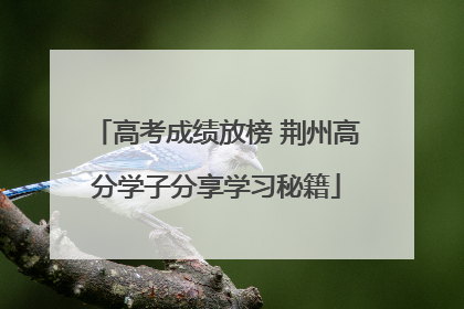 高考成绩放榜 荆州高分学子分享学习秘籍