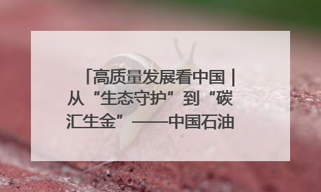 高质量发展看中国｜从“生态守护”到“碳汇生金”——中国石油大庆油田绿色蝶变