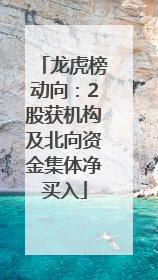龙虎榜动向：2股获机构及北向资金集体净买入