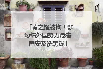 黄之锋被拘！涉勾结外国势力危害国安及洗黑钱