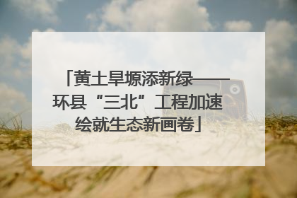 黄土旱塬添新绿——环县“三北”工程加速绘就生态新画卷