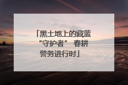 黑土地上的藏蓝“守护者” 春耕警务进行时