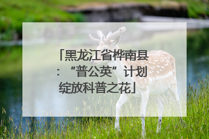 黑龙江省桦南县：“普公英”计划绽放科普之花