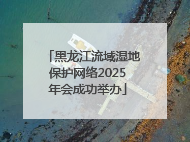 黑龙江流域湿地保护网络2025年会成功举办