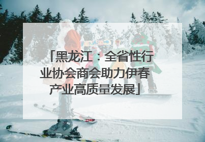 黑龙江：全省性行业协会商会助力伊春产业高质量发展