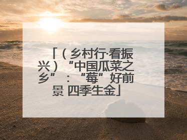 （乡村行·看振兴）“中国瓜菜之乡”：“莓”好前景 四季生金